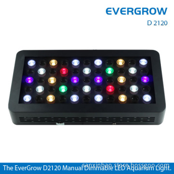 Best Programmable LED Aquarium Lighting for Marine Use